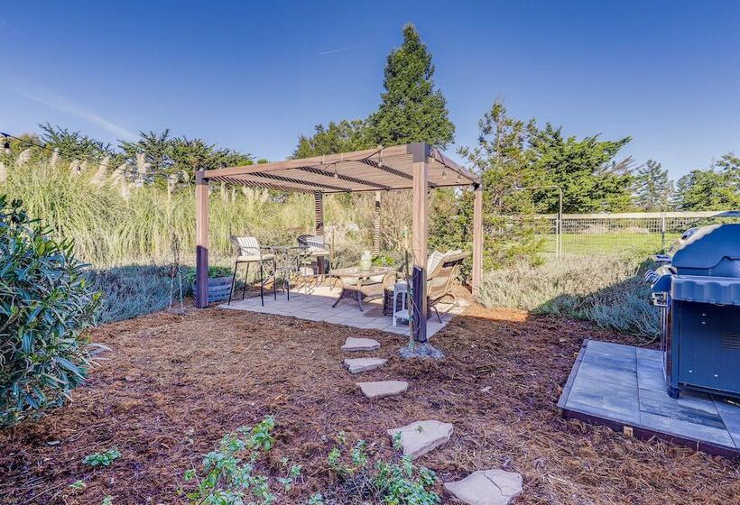 Charming Petaluma Cottage W/ Grill Near Wineries