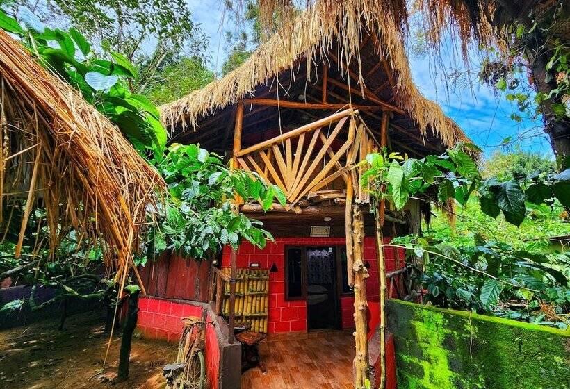 Evergreen County Resort Coorg   A Coffee Plantation Retreat