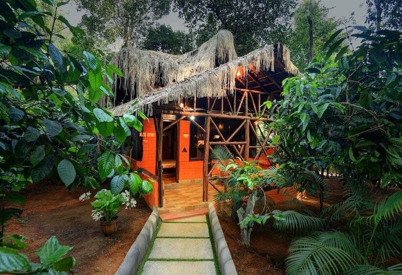 Evergreen County Resort Coorg A Coffee Plantation Retreat