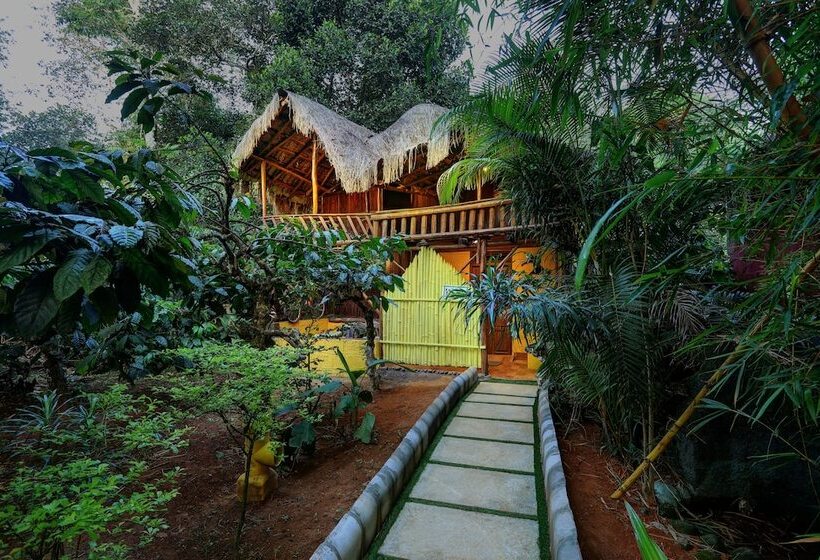 Evergreen County Resort Coorg   A Coffee Plantation Retreat