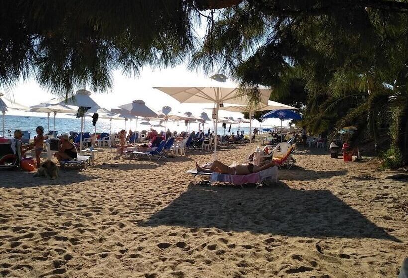 Bambola Apartments By Booking Kottas