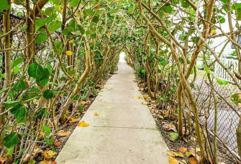 Isla Palma Singer Island