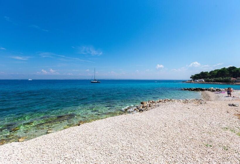 Room In Cabin   Caravan Near The Sea 2