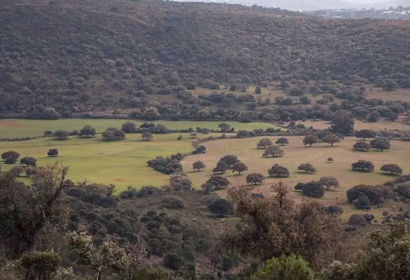ホテル Quinta Do Freixo