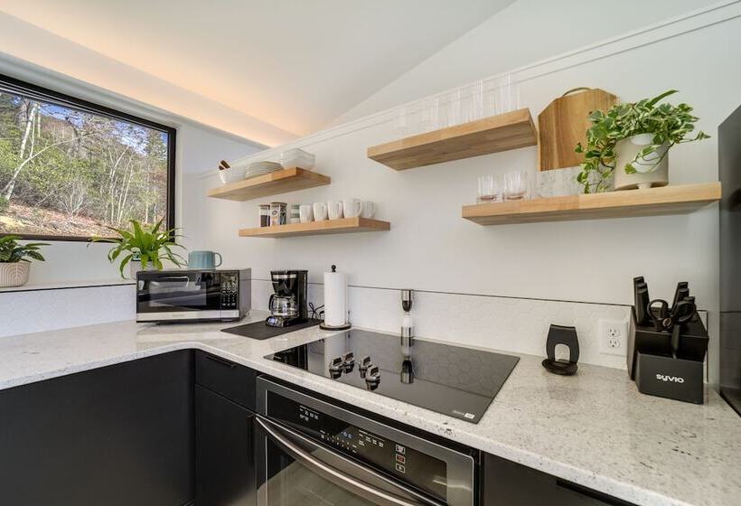 Modern Mountain View Sanctuary In Pisgah Forest