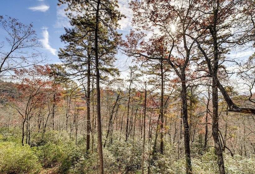 Modern Mountain View Sanctuary In Pisgah Forest