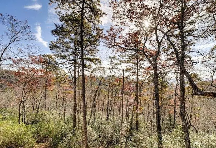Modern Mountain View Sanctuary In Pisgah Forest