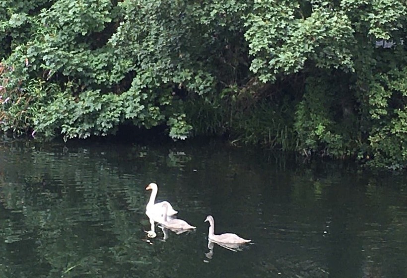 レジデンス Impeccable 2 Bed House In Attleborough