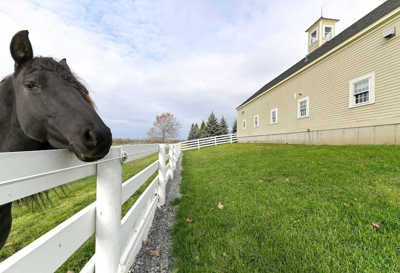 Unique Finger Lakes Converted Horse Barn W/ Patio!