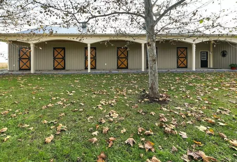 Unique Finger Lakes Converted Horse Barn W/ Patio!