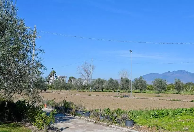 ベッドアンドブレックファースト Don Peppes : Villaggio Green