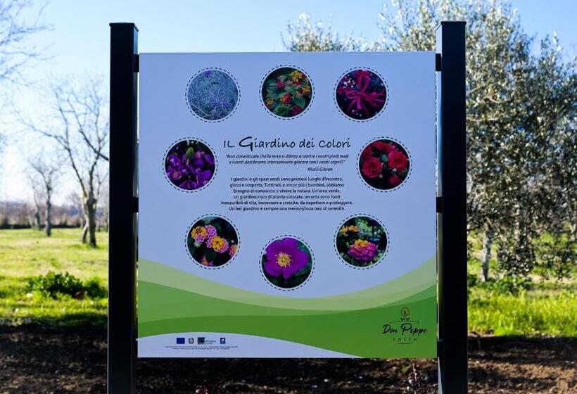 Bed and Breakfast Don Peppes : Villaggio Green