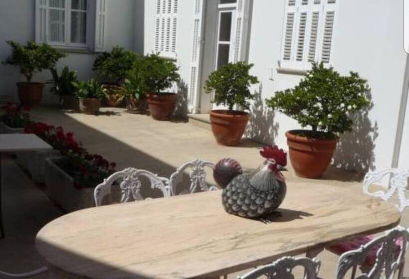 تختخواب و صبحانه Gallo Colorao Adults Only