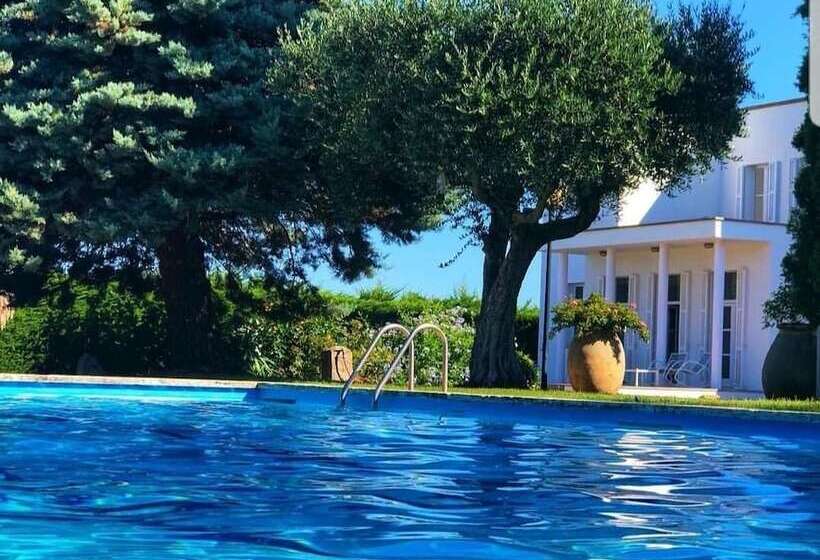 تختخواب و صبحانه Gallo Colorao Adults Only