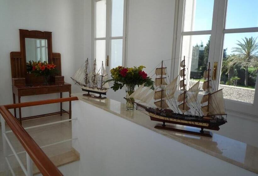 تختخواب و صبحانه Gallo Colorao Adults Only