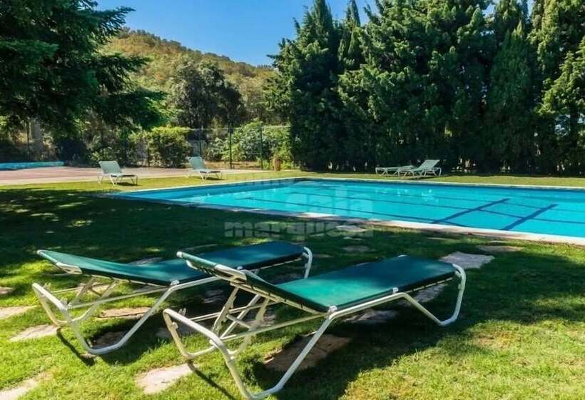 تختخواب و صبحانه Gallo Colorao Adults Only