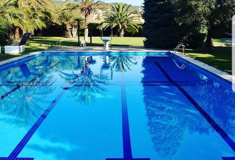 تختخواب و صبحانه Gallo Colorao Adults Only