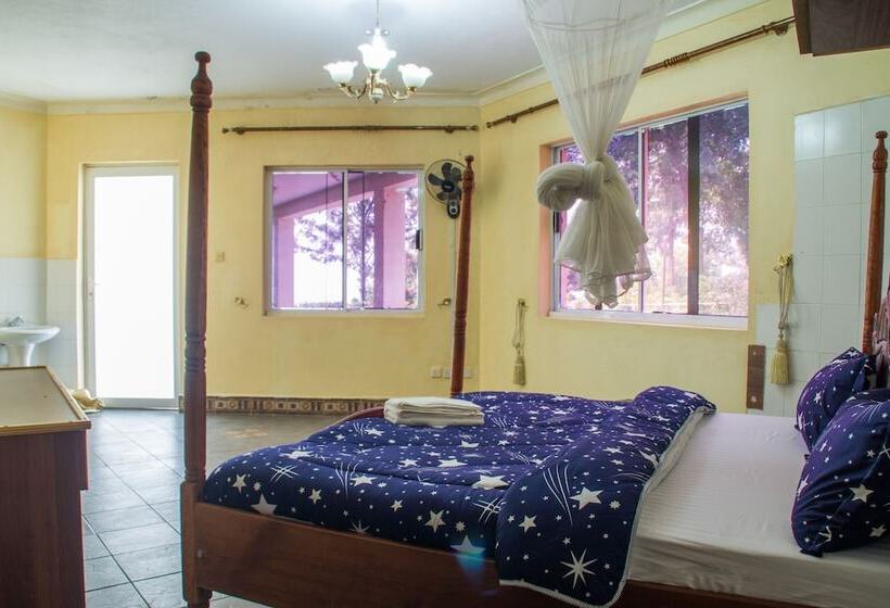 هتل Springs International