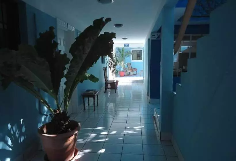 پانسیون Centro Yayabo