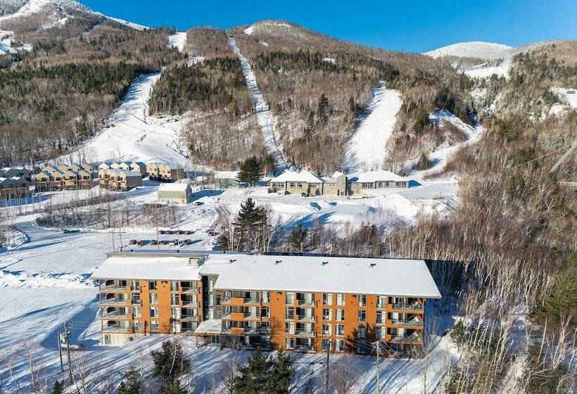 Les Caches De La Grande Pointe