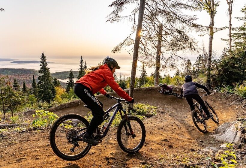 Les Caches De La Grande Pointe