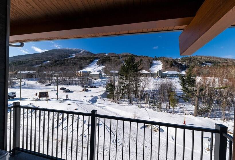 Les Caches De La Grande Pointe