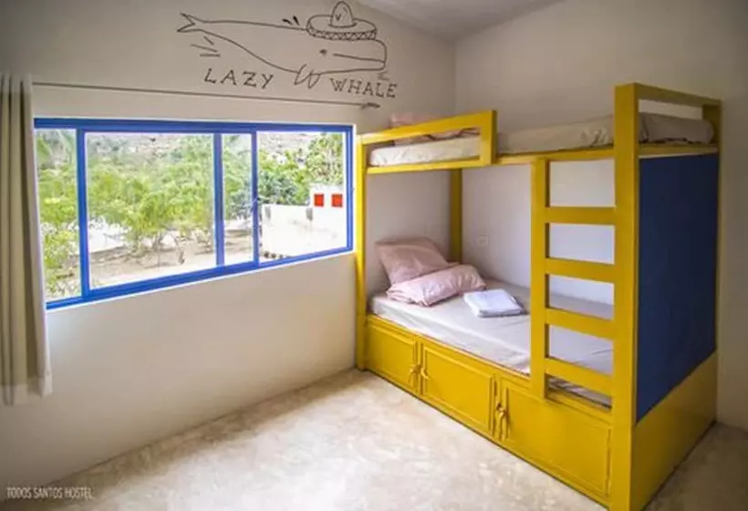 Todos Santos Hostel