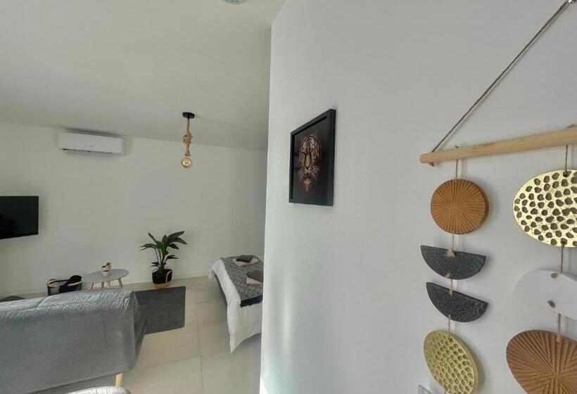 Appart Ici Numéro 2 Spacieux Studio Tout équipé