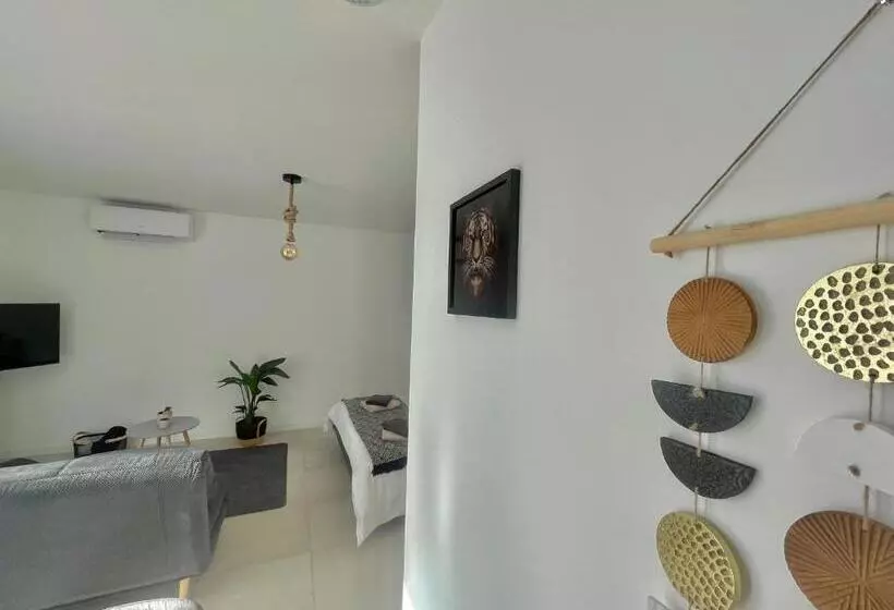 Appart Ici   Numéro 2   Spacieux Studio Tout équipé