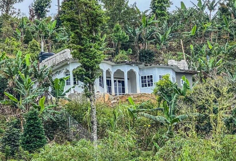 تختخواب و صبحانه O T On The Rise