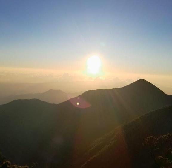 تختخواب و صبحانه O T On The Rise