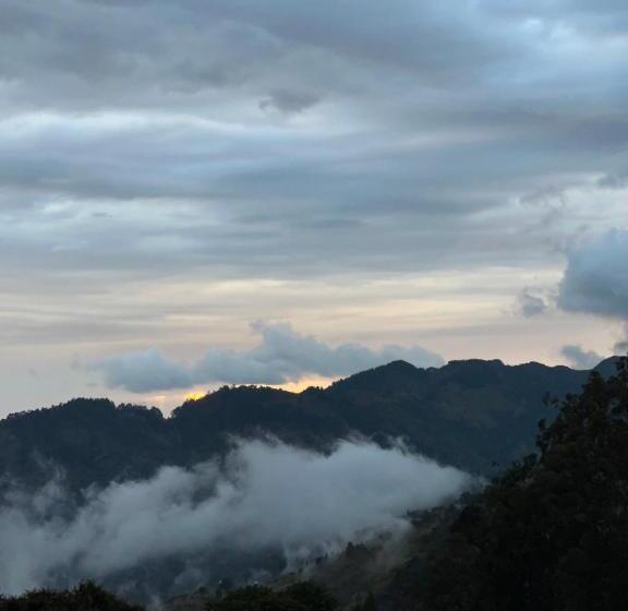 تختخواب و صبحانه O T On The Rise