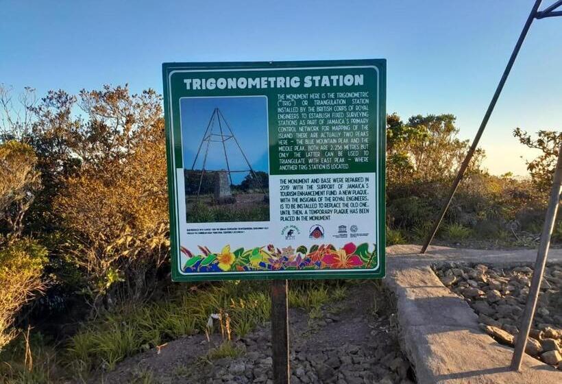 تختخواب و صبحانه O T On The Rise