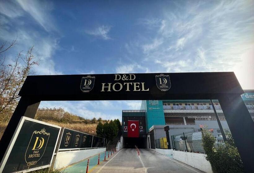 هتل D&D