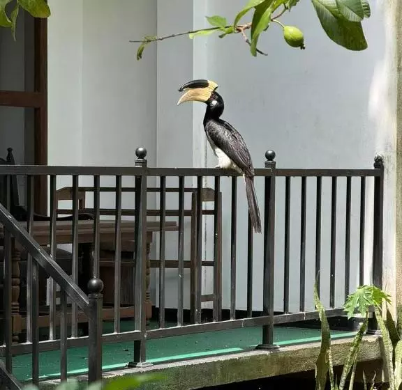 ペンション Elite Safari Resort