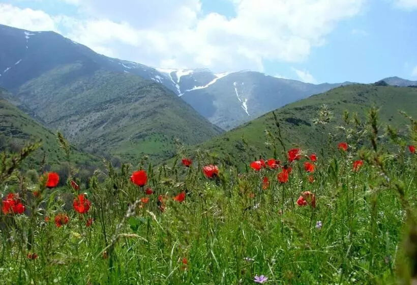 ペンション Nuratau Mountain Ulug Bek Homestay