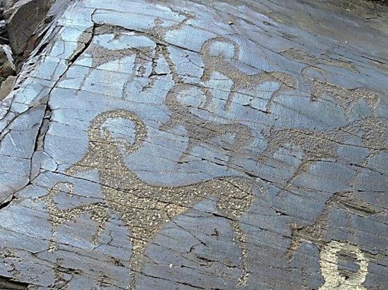 Pensão Nuratau Mountain Ulug Bek Homestay