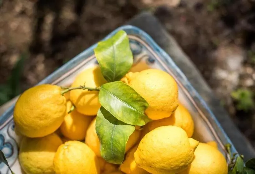 ベッドアンドブレックファースト Smallville