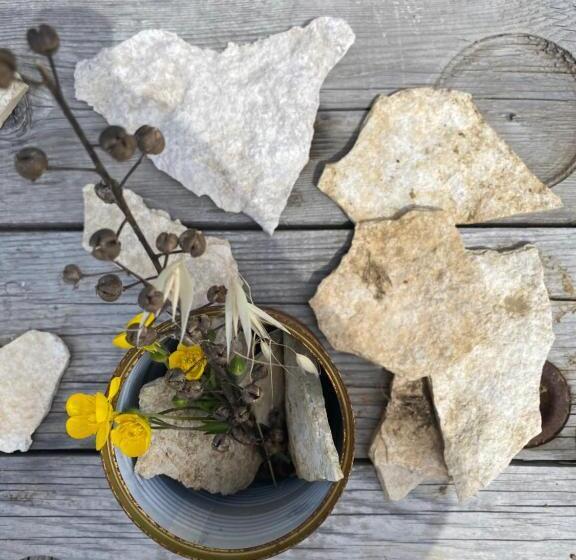 Bed and Breakfast La Siba Experience