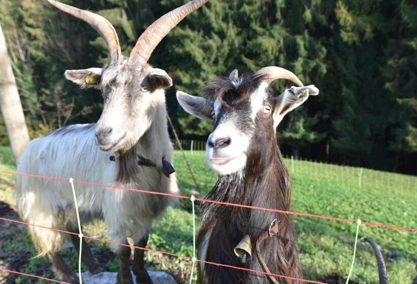 בית מלון כפרי Agriturismo Grabbia