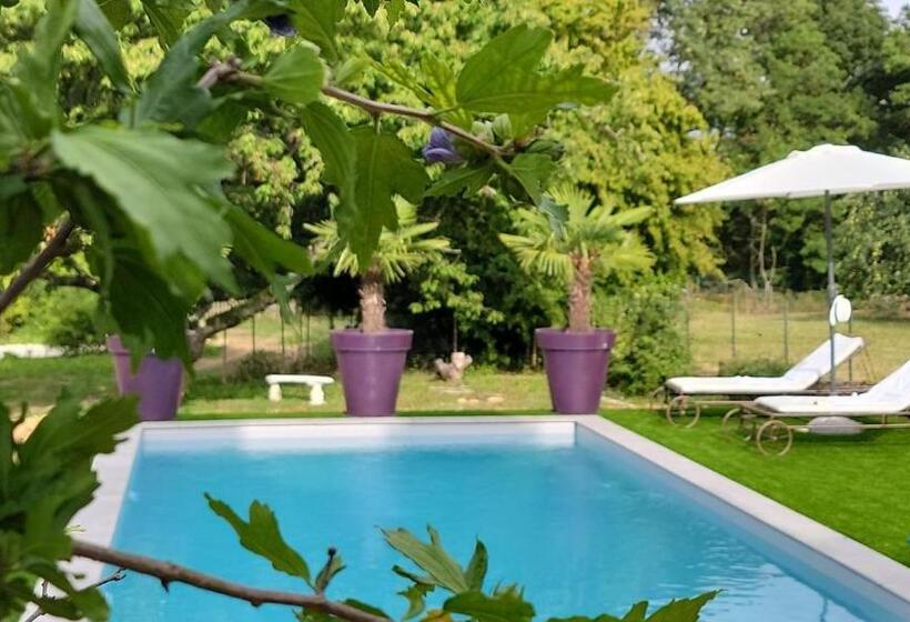 پانسیون Domaine Bassy