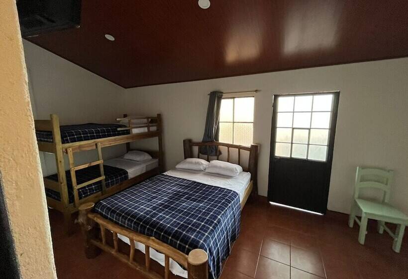 پانسیون Hostal 17 52