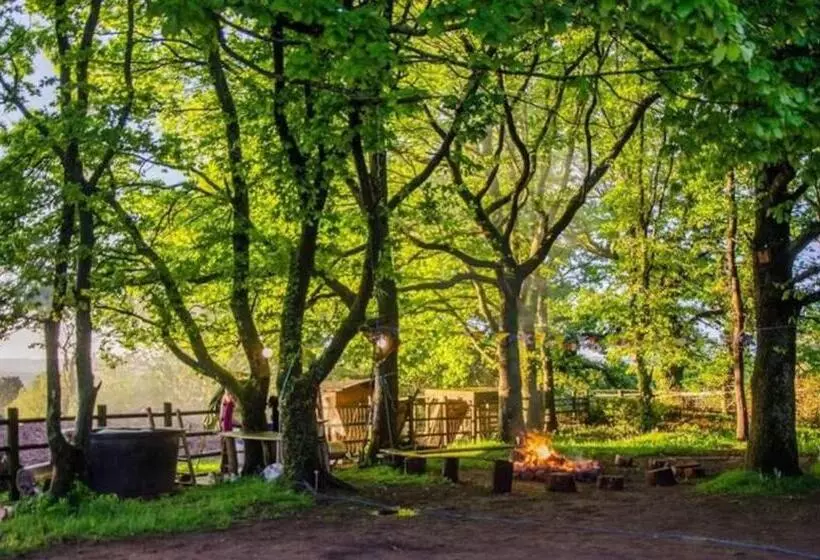 ユースホステル Camp Hillcrest Bunkhouse