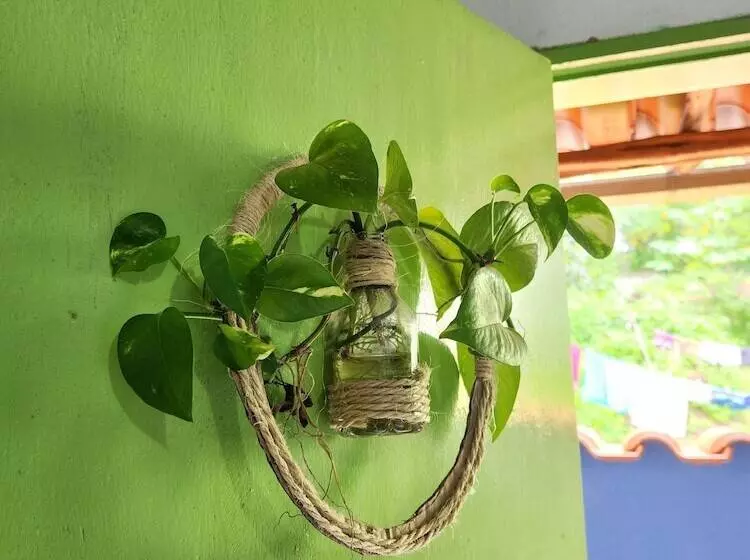 ユースホステル Pousada Velho Garimpo