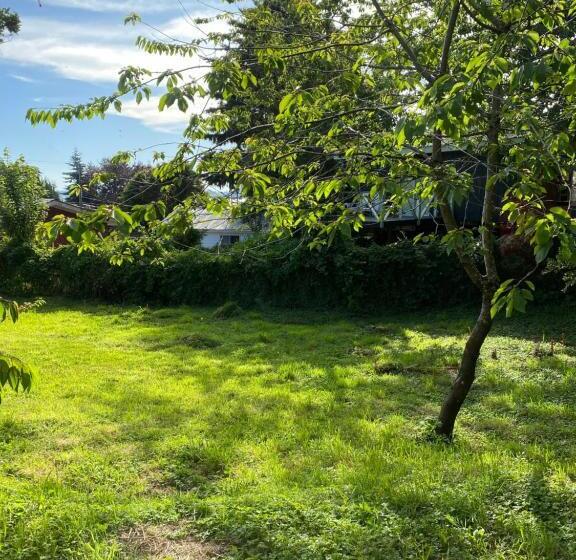 پانسیون Hostal Pelluco