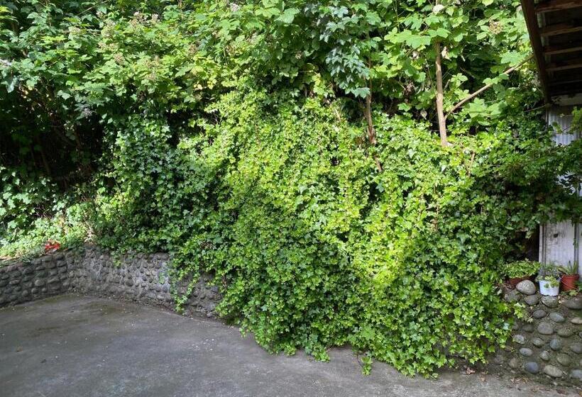 پانسیون Hostal Pelluco