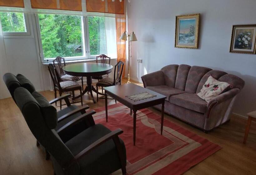 פנסיון Saarnimaja