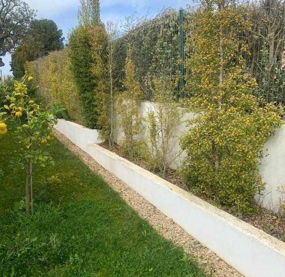 פנסיון Vodolls Guest House