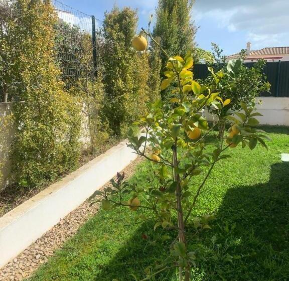 פנסיון Vodolls Guest House