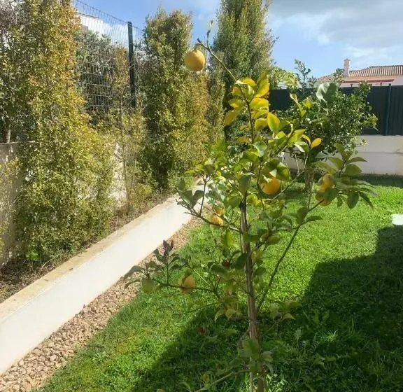 ペンション Vodolls Guest House